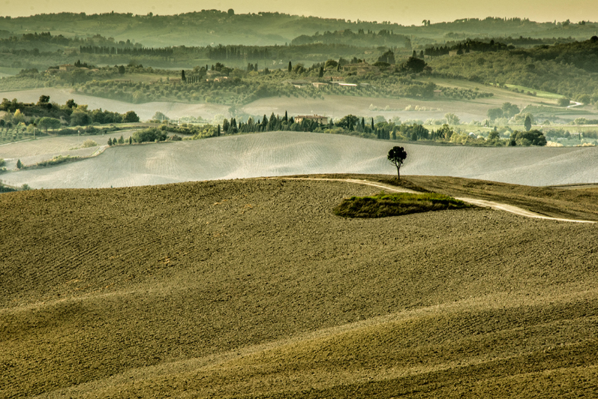 Tuscany - Crete Senesi - photographybymarcus.com